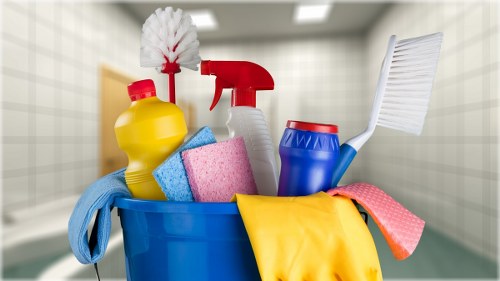 Professional carpet cleaning in a bright living room
