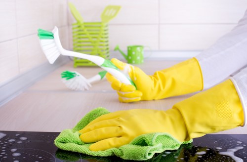 Example cleanout jobs for homes and commercial properties