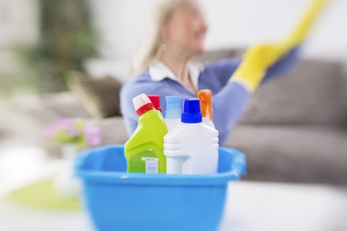 Freshening upholstery after pet odour treatment with baking soda