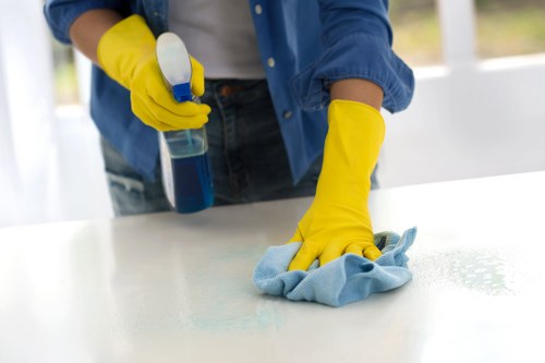 Pet stain odour removal products arranged for home cleaning