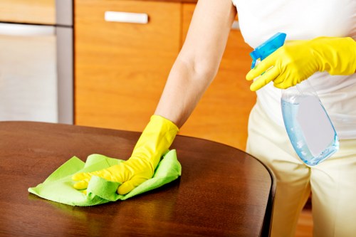 Carpet and fabric stain removal process